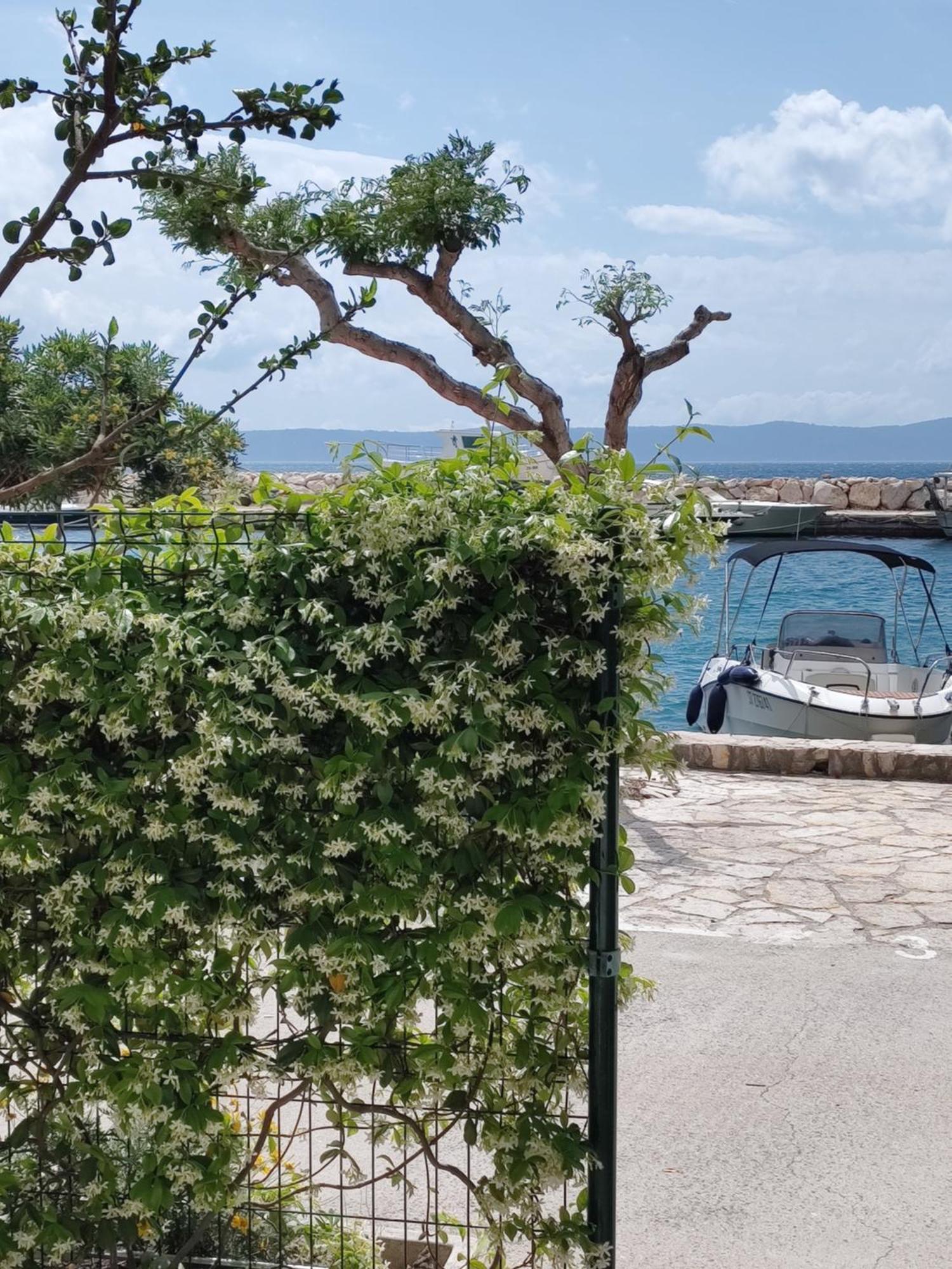 Apartmani Ines Drasnice Buitenkant foto